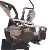 Automative Art: Stag's Head